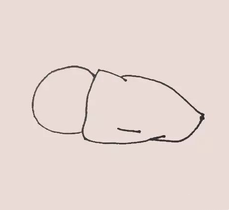 月亮兔简笔画