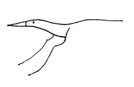 丹顶鹤简笔画