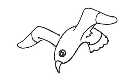海鸥简笔画