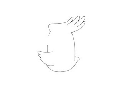 戴胜鸟简笔画