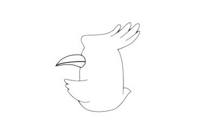 戴胜鸟简笔画