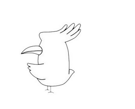 戴胜鸟简笔画