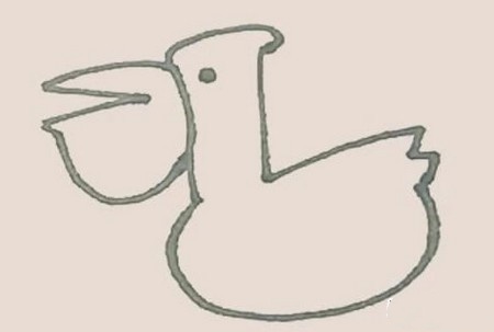 鹈鹕简笔画