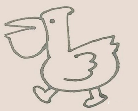鹈鹕简笔画