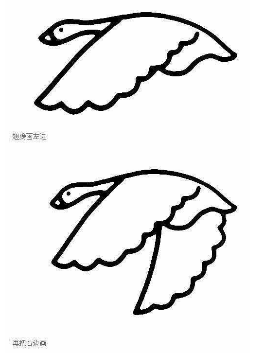 大雁简笔画