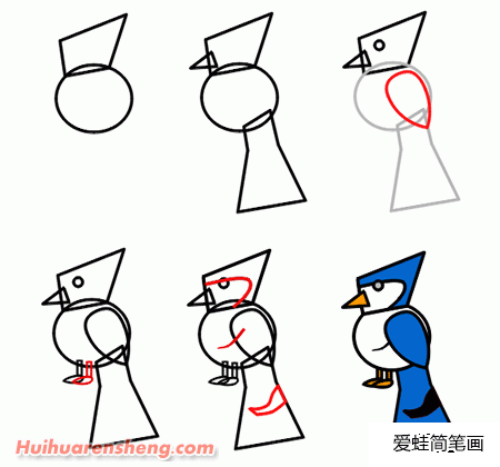 鹦鹉简笔画