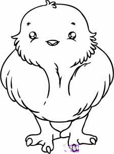 小鸟简笔画