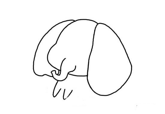 卡通大象简笔画