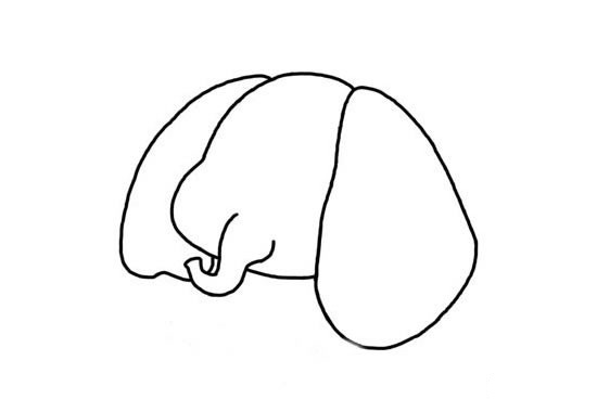 卡通大象简笔画