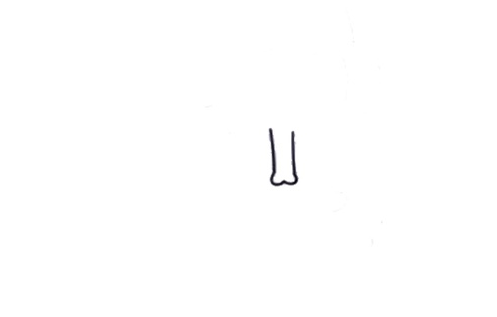 小学生画大象怎么画