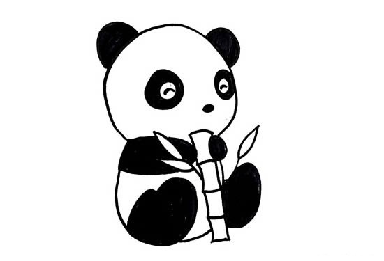 小熊猫简笔画