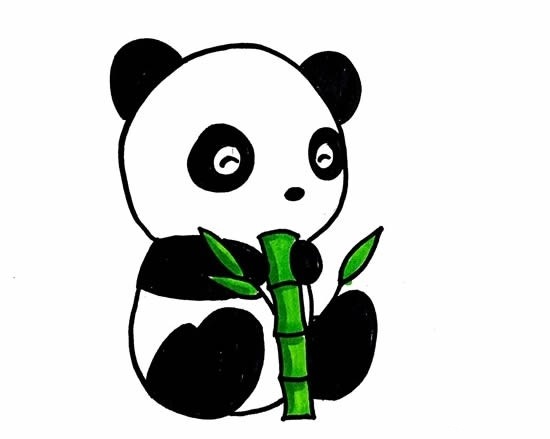 小熊猫简笔画