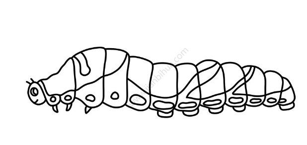 怎么画毛毛虫简笔画