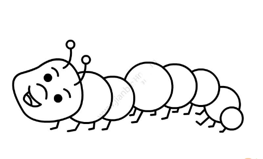 毛毛虫简笔画
