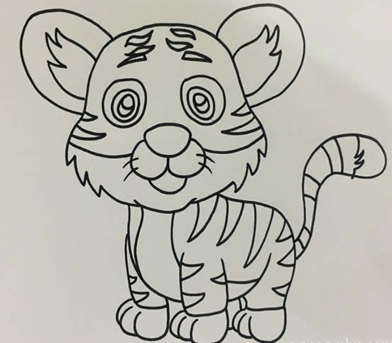 东北虎简笔画步骤