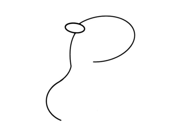 长颈鹿简笔画