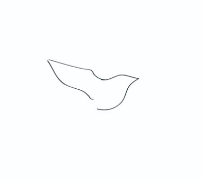 鸽子简笔画