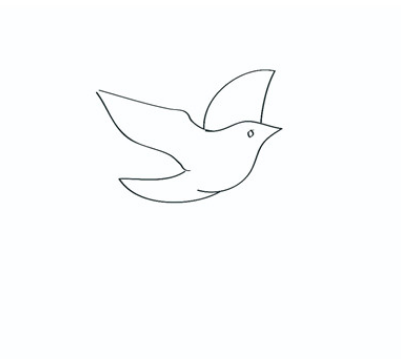 鸽子简笔画