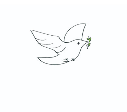 鸽子简笔画