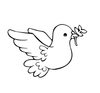 怎么画和平鸽