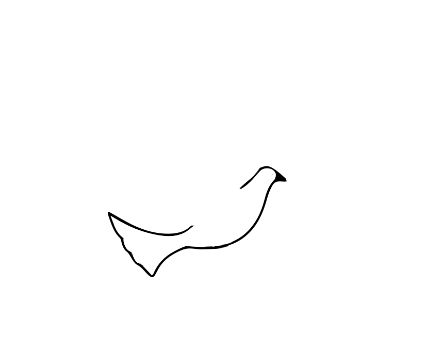 鸽子怎么画