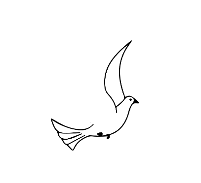 鸽子怎么画