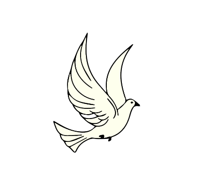 鸽子怎么画