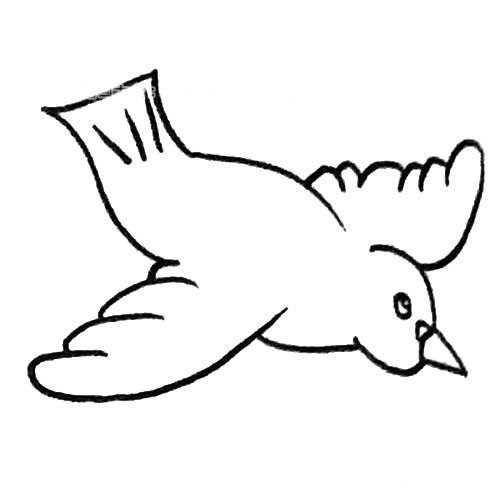 儿童学画简单的鸽子简笔画