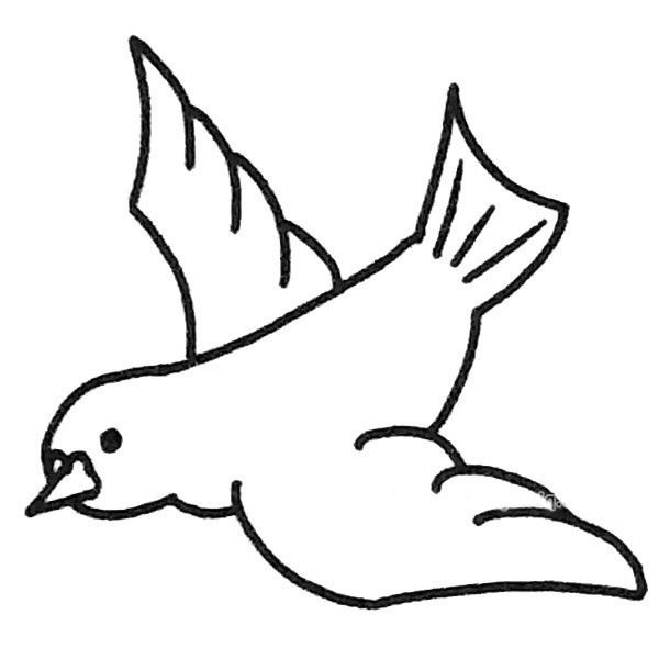 一组漂亮的鸽子简笔画图片大全