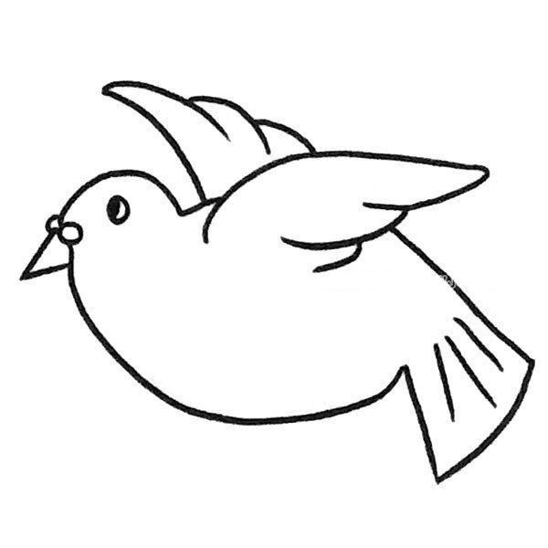 一组漂亮的鸽子简笔画图片大全