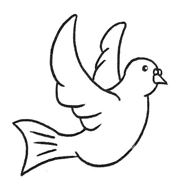 一组漂亮的鸽子简笔画图片大全