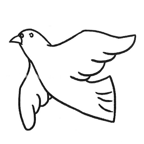 一组漂亮的鸽子简笔画图片大全