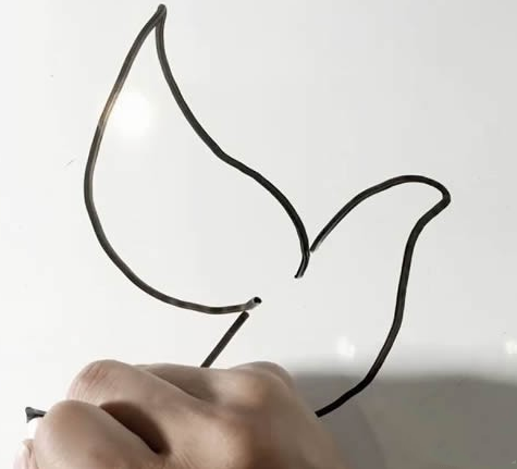 鸽子简笔画教程