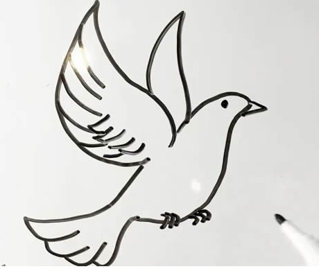 鸽子简笔画教程