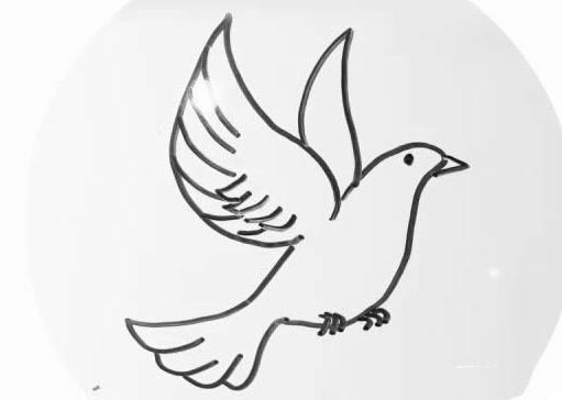 鸽子简笔画教程