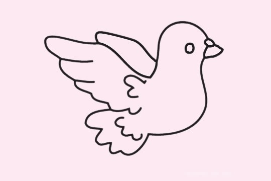 鸽子简笔画图片大全