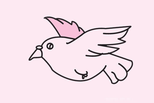 鸽子简笔画图片大全