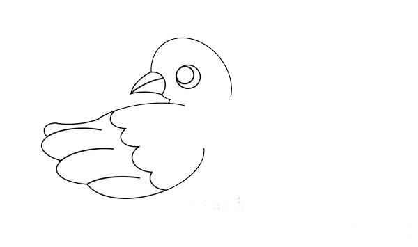 漂亮的鸽子简笔画