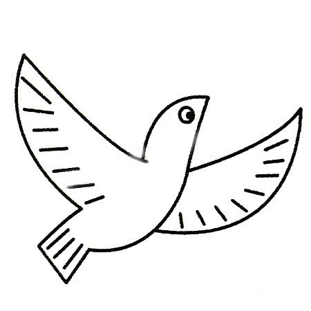 幼儿学画鸽子如何画