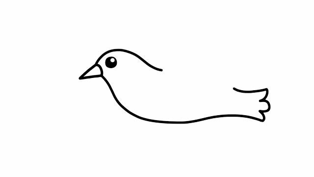 如何画鸽子简笔画