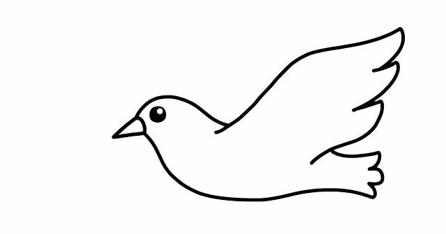 如何画鸽子简笔画
