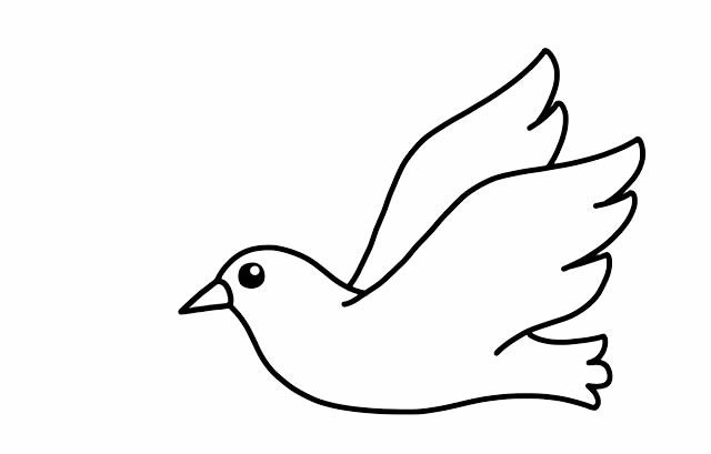 如何画鸽子简笔画