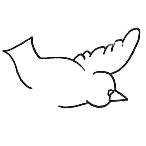 儿童学画简单的鸽子简笔画