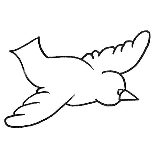 儿童学画简单的鸽子简笔画