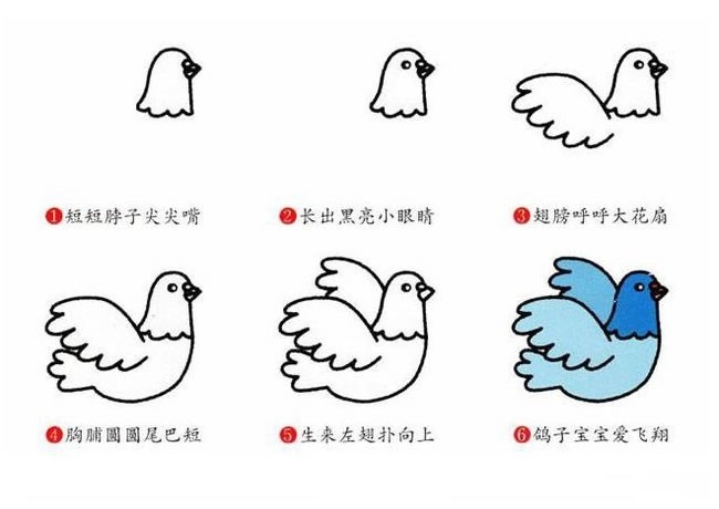 学画鸽子简笔画步骤图文教程