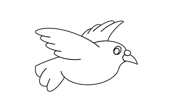 可爱白鸽子如何画简笔画简单又漂亮