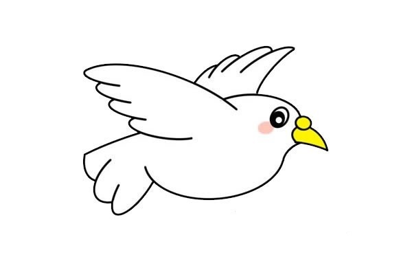 可爱白鸽子如何画简笔画简单又漂亮