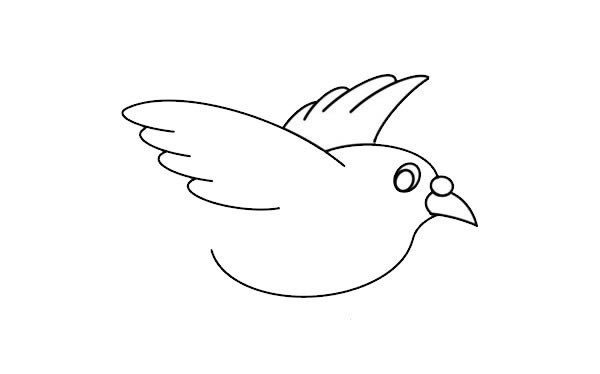 可爱白鸽子简笔画