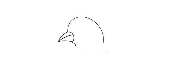 漂亮的鸽子简笔画