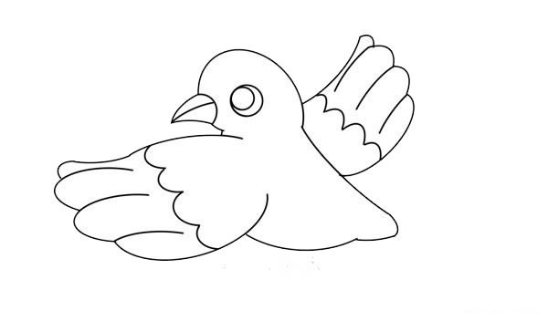 漂亮的鸽子简笔画